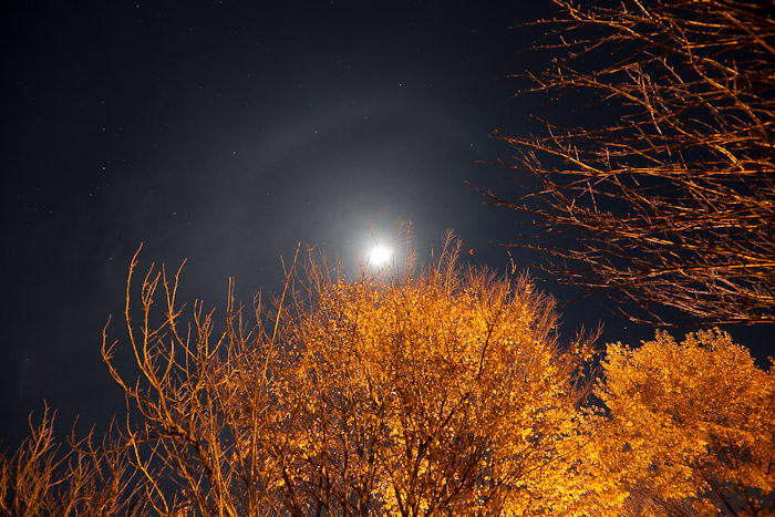 月夜写真⑤