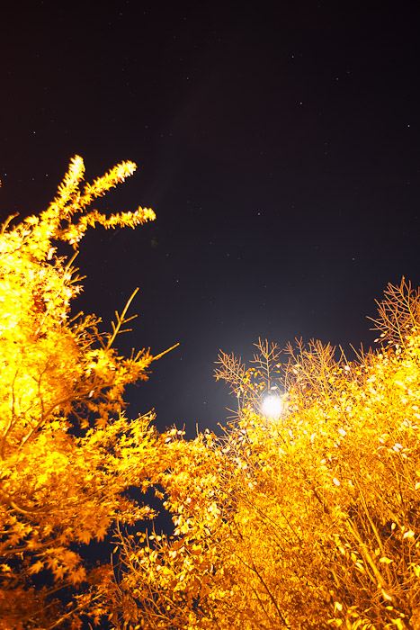 月夜写真③