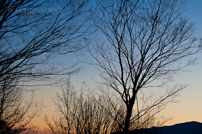 夕方の写真