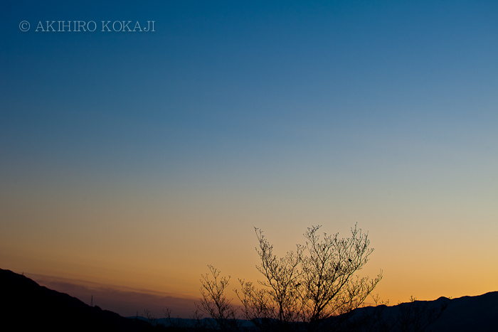 夕方の写真