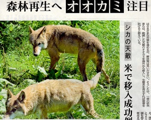 興味ある記事。