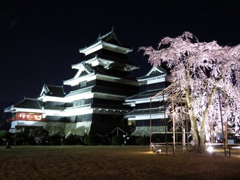 松本城☆鑑桜会（夜桜）