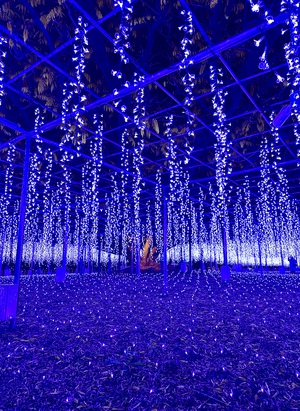 茨城旅⑤ 茨城旅⑤