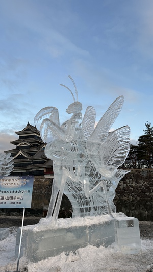 松本城氷彫フェスティバル2025⭐︎ 松本城氷彫フェスティバル2025⭐︎
