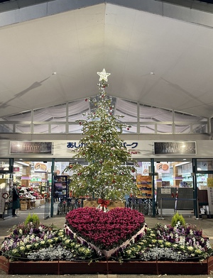 茨城旅⑤ 茨城旅⑤
