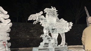 松本城氷彫フェスティバル2025⭐︎ 松本城氷彫フェスティバル2025⭐︎