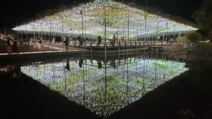 茨城旅⑤ 茨城旅⑤
