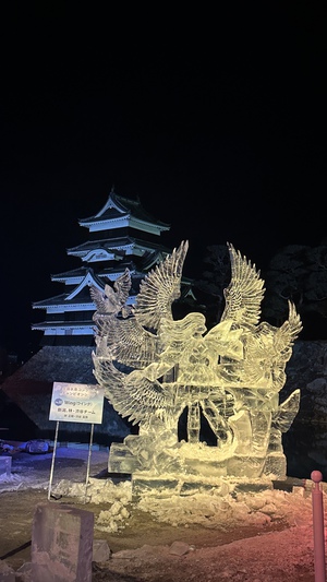 松本城氷彫フェスティバル2025⭐︎ 松本城氷彫フェスティバル2025⭐︎
