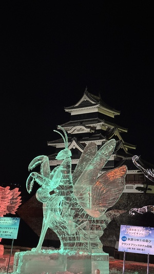 松本城氷彫フェスティバル2025⭐︎ 松本城氷彫フェスティバル2025⭐︎