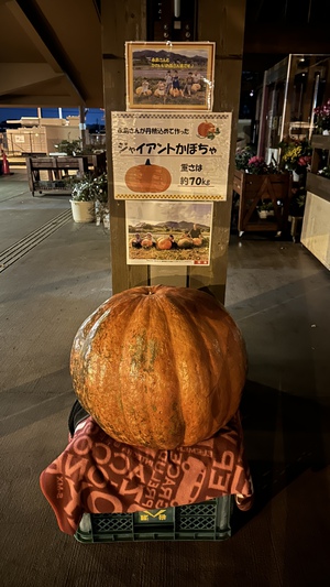 茨城旅① 茨城旅①
