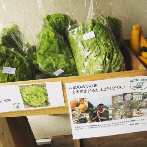 【お知らせ】傍　野菜直売所OPEN♪