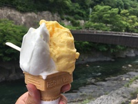 田口氷菓店でWジェラート！