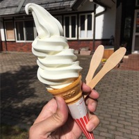 長野県 道の駅制覇への道のり！「南アルプスむら長谷」大きなソフトクリームに出会えたよ！