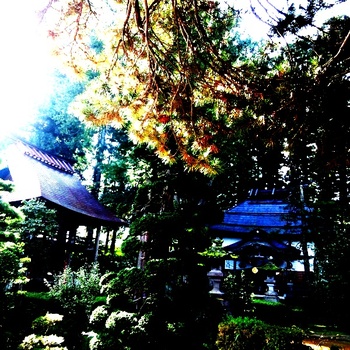 自然寺