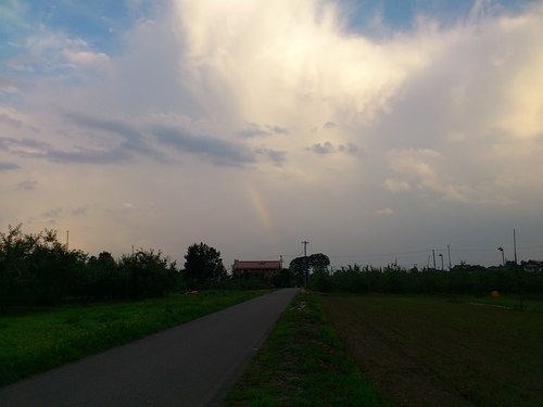 7月に入り