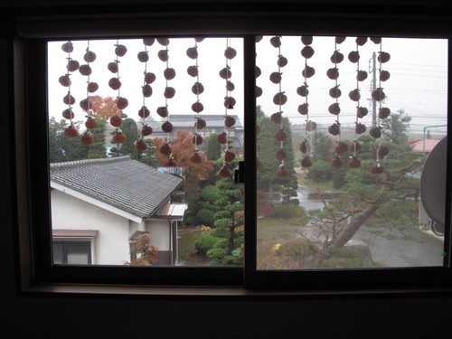 雨