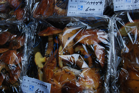 いざ!秋の味覚狩りツアーへ