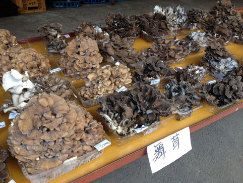 いざ!秋の味覚狩りツアーへ