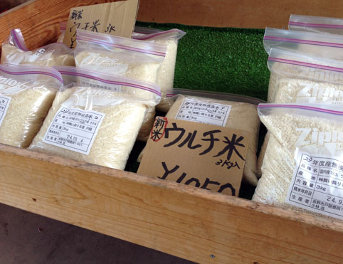いざ!秋の味覚狩りツアーへ