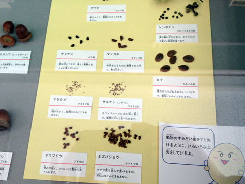 戸隠で「実と種」を極める!