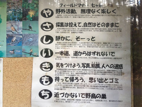 戸隠女子的紅葉の楽しみ方