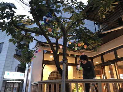 めるへんらんど めるへんらんど