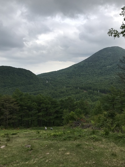 【湯の丸高原】きれいに咲いています【動画】 その2 【湯の丸高原】きれいに咲いています【動画】 その2