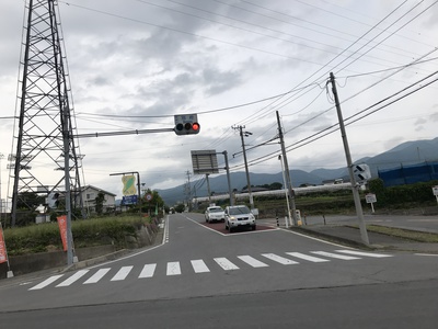 【湯の丸高原】きれいに咲いています【動画】 その2 【湯の丸高原】きれいに咲いています【動画】 その2