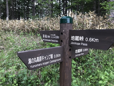 【湯の丸高原】きれいに咲いています【動画】 その2 【湯の丸高原】きれいに咲いています【動画】 その2