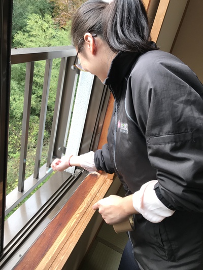 馬さんよろしく! 馬さんよろしく!