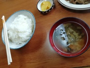 「栄食堂」もつ煮込み定食650円 「栄食堂」もつ煮込み定食650円