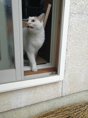♪朝一番早いのは ♪朝一番早いのは