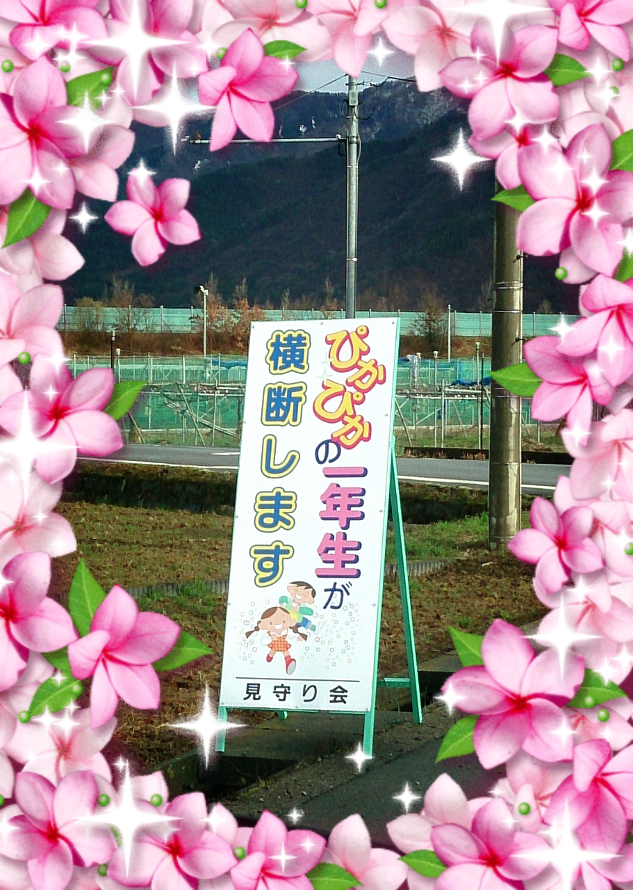 ぴかぴかの一年生 ぴかぴかの一年生