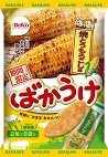 手作りおやきランチ 手作りおやきランチ