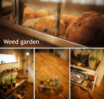 Weed　garden(業務形態変更)