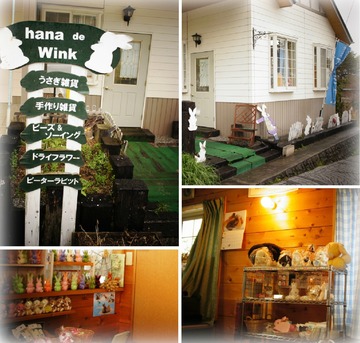 hana de Wink