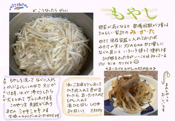 もやし もやし