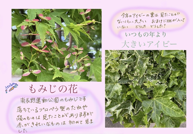 頭痛 頭痛