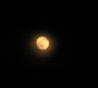 月の暈