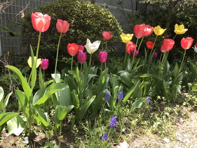 ♪心地よい疲労 ♪心地よい疲労