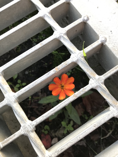 ♪心地よい疲労 ♪心地よい疲労