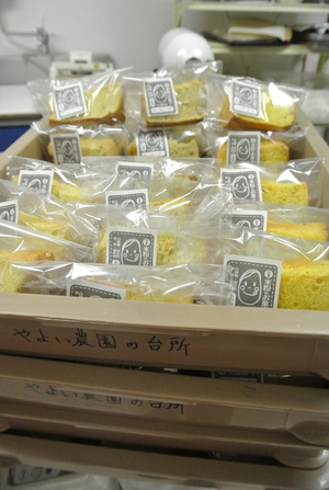 やよい農園の記録 やよい農園のシフォンケーキカット バラ売りできます
