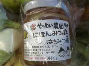 やよい農園の日本みつばちの販売を開始しました。