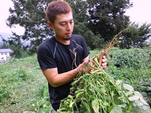 大豆の作付けボランティア募集のお知らせ