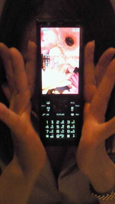 サマーフェスト2009