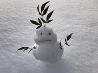 雪だるま実物 雪だるま実物