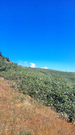 苗場山登山