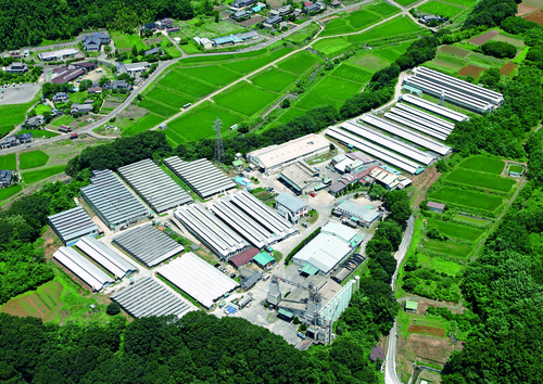 信州松本最大の採卵鶏養鶏場です。