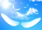 羽のようにふわふわと軽く