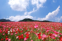 ５月のおしらせ